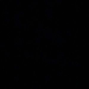 Meet your Posher, Eleni